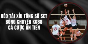 Kèo Tài Xỉu Tổng Số Set Bóng Chuyền KG88 - Cá Cược Ăn Tiền