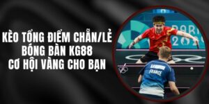 Kèo Tổng Điểm Chẵn/lẻ Bóng Bàn KG88 - Cơ Hội Vàng Cho Bạn